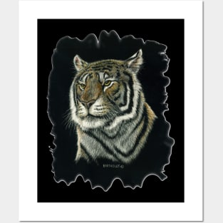 Tiger Portrait Posters and Art